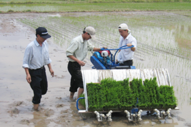 Chế tạo máy cấy cho nông dân